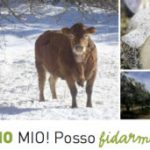14-02-17 • ARTICOLO SU QBQUANTOBASTA DI FEBBRAIO