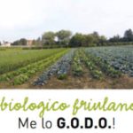 16-03-17 • ARTICOLO SU QBQUANTOBASTA DI MARZO