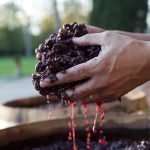 C’è trappola e trappola!