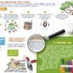 Scheda il biologico a scuola