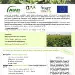 Colture di copertura in agricoltura biologica