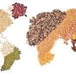 Venerdì 5 aprile a Udine – Agricoltura biologica e commercio equo