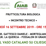 Incontro tecnico: IL VASO CATALANO SU CILIEGIO