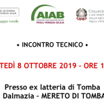 Incontro tecnico: LE COLTURE DI COPERTURA – SCELTA DELLE SPECIE IN RELAZIONE ALLA ROTAZIONE COLTURALE