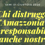 Chi distrugge l’Amazzonia? La responsabilità è anche nostra!