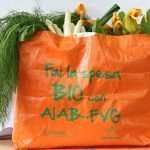 Webinar sugli alimenti fermentati – NUOVA DATA 8 maggio ore 18