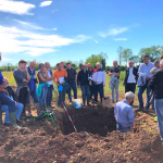 Mettiamo la testa nel terreno – serie di incontri tecnici online 2020-2021