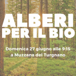 Alberi per il Bio – visita partecipata domenica 27 giugno alle 9:15