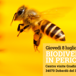 Biodiversità in pericolo – incontro pubblico giovedì 8 luglio alle 18:30 🐝