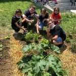 Ultimo giorno di scuola nell’orto alla Caprin di Trieste 🌱
