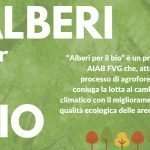 Alberi per il BIO 🌳