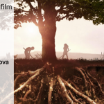 Proiezione film “Kiss the Ground” – venerdì 27 agosto 2021 ore 21.00📽🎞