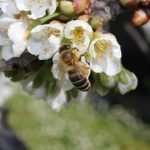 Il biologico per stare tutti bene, o, almeno, abbastanza bene