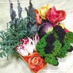 IL BIOLOGICO FA BENE A TUTTI!