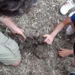 Fertilità del suolo, fertilizzanti e business