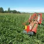 Incontro tecnico: soia – riduzione della biomassa della flora spontanea con la cimatura