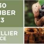 SITEVI – esibizione internazionale per la viticoltura, l’olivicultura, l’enologia e la frutticoltura a Montpellier (Francia)