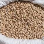 La Cicerchia, che ha pure un nome in friulano!