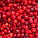 La vendita diretta dei prodotti biologici da agricoltura familiare: un confronto tra esperienze in Friuli Venezia Giulia e nella regione Ucayali – Peru’