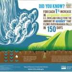 Settimana di pioggia e di terra