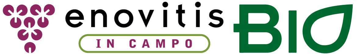 Enovitis in campo 2024