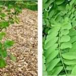 Aree di servizio … biologico