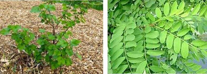 Aree di servizio … biologico