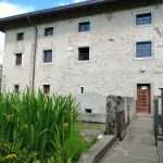 Benessere animale negli allevamenti biologici ed estensivi: il caso degli avicoli