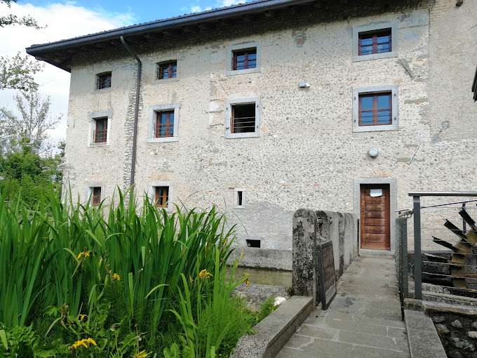 Benessere animale negli allevamenti biologici ed estensivi: il caso degli avicoli