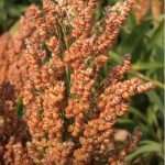 Prepararsi all’imprevedibilità.