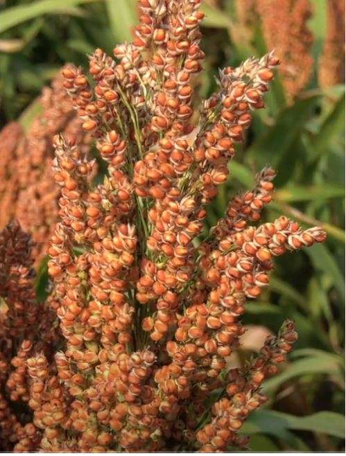 Prepararsi all’imprevedibilità.