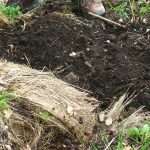 Perché non fare il compost?