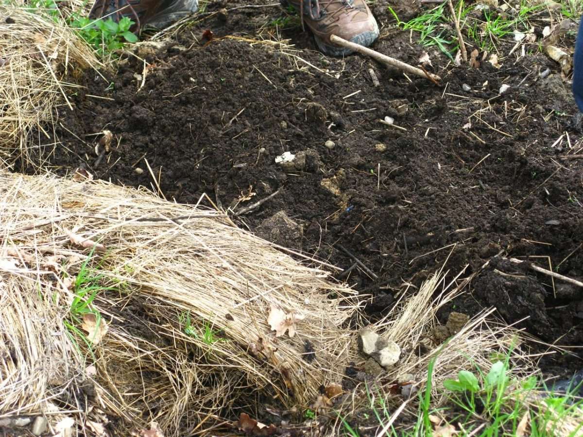 Perché non fare il compost?