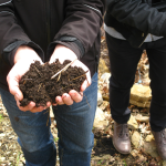 Se il clima cambia: iniziamo guardando al suolo
