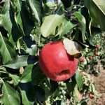 Fondazione Fratelli Navarra – nuova data