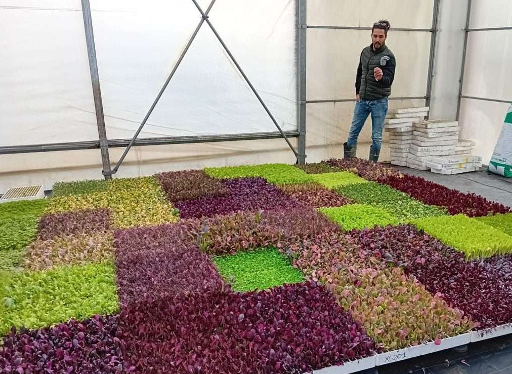 Orticoltura biologica: visita guidata in campo Az. Sementiera Smarties.Bio