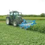 Va bene il sovescio, ma come lo termini?