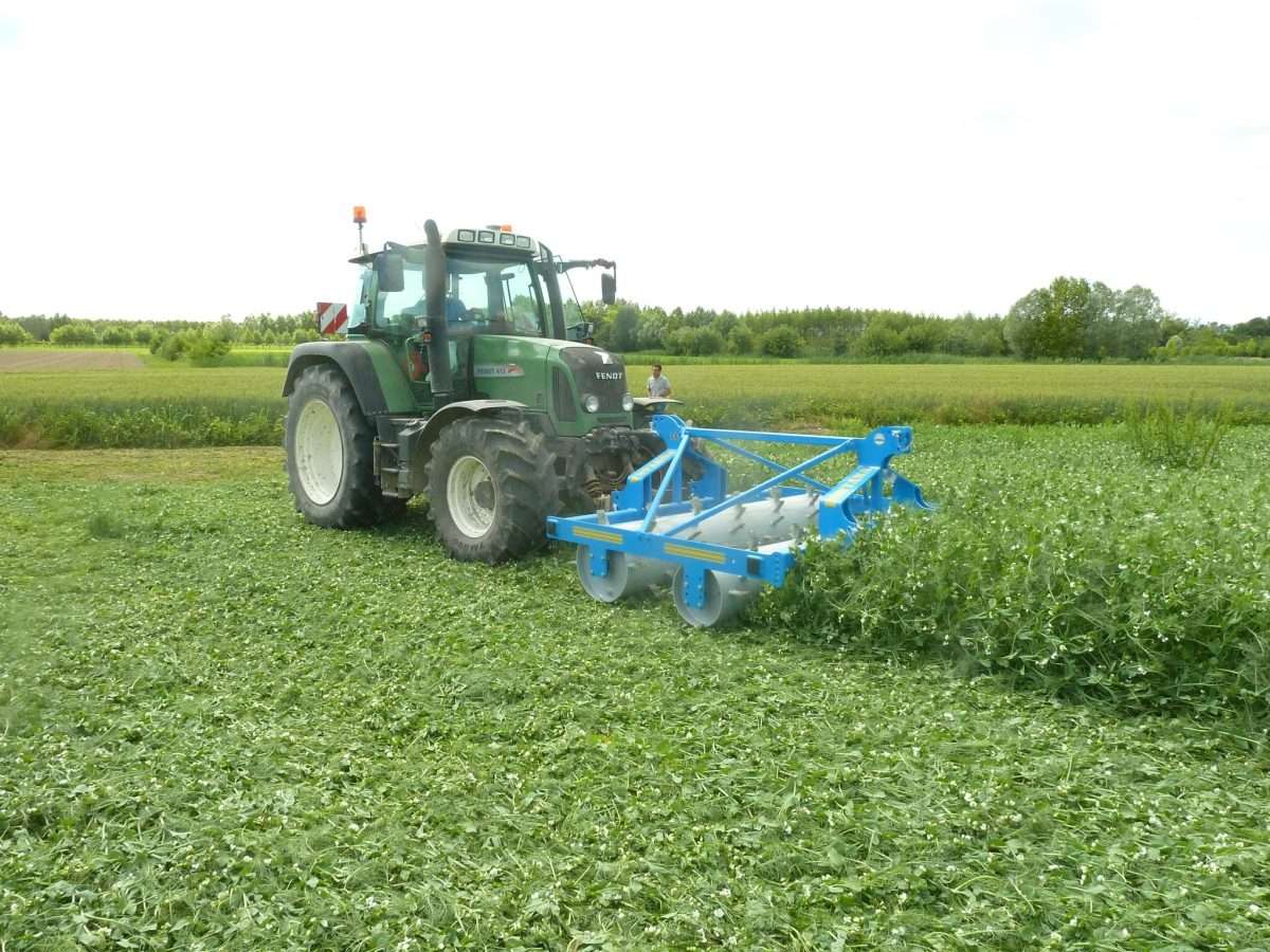 Va bene il sovescio, ma come lo termini?