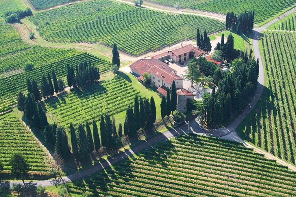 Il tempo della gentilezza: tra vigneti e pascoli