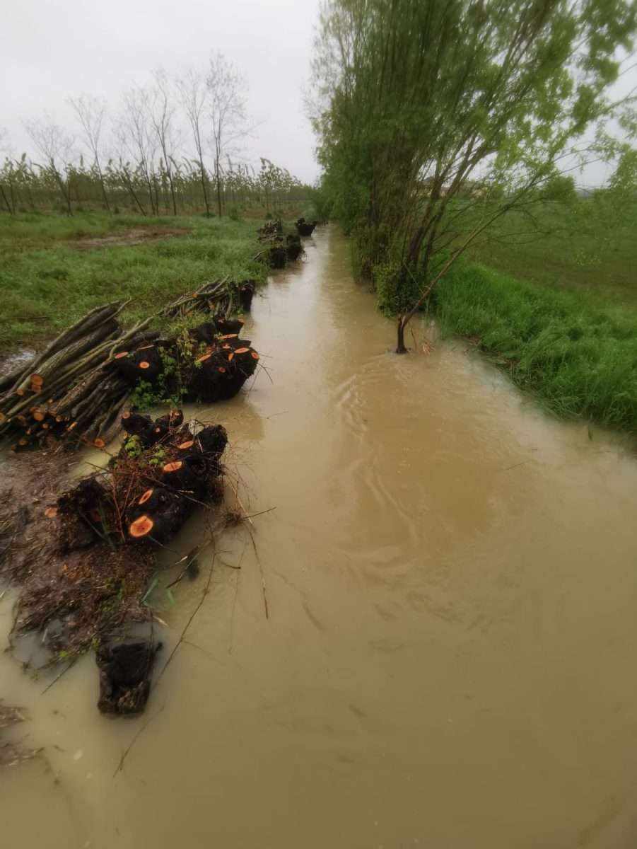 Pioggia e fossi.