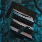 Pipistrelli nella vigne e nei frutteti.