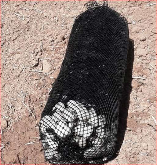 Catturare l’acqua nel suolo.