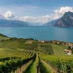 13 novembre 2025 Viticoltura biologica – Visita di studio in Franciacorta