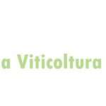 12.12.2025 – Giornata dedicata alla viticoltura biologica a Villa Manin