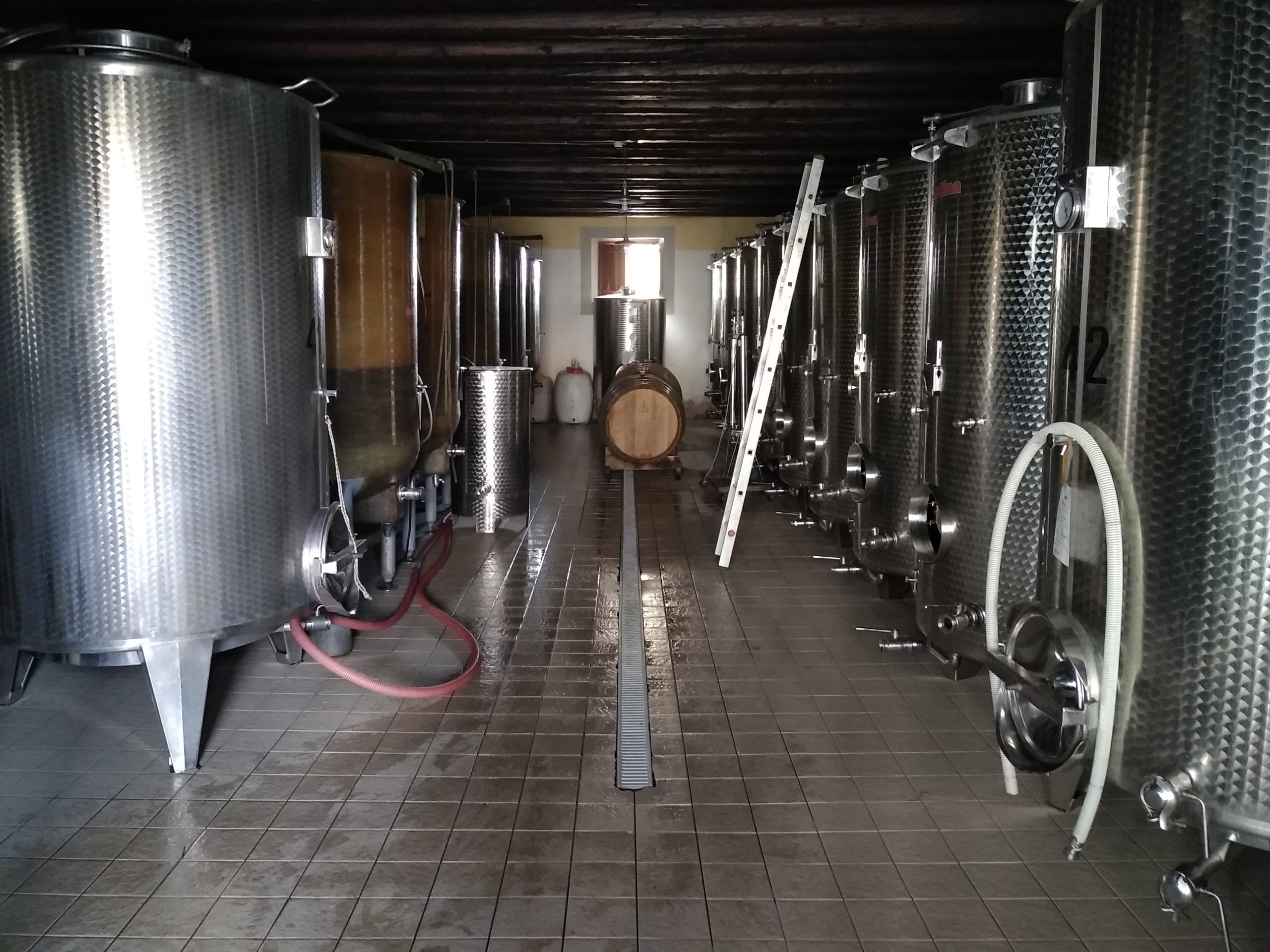 13.02.2026 – “Strategie di vinificazione in un clima che cambia”, incontro tecnico online