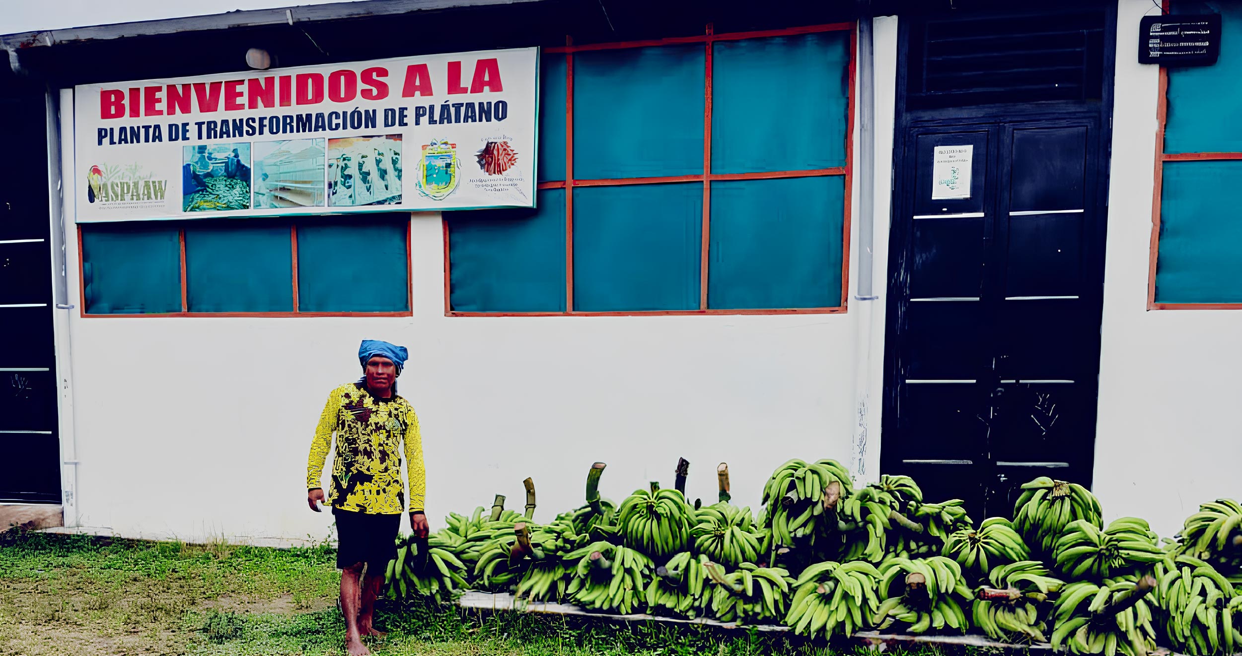 Stabilimento platani