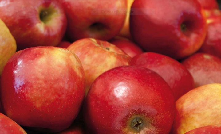 Visita allo stabilimento CFC di MELINDA