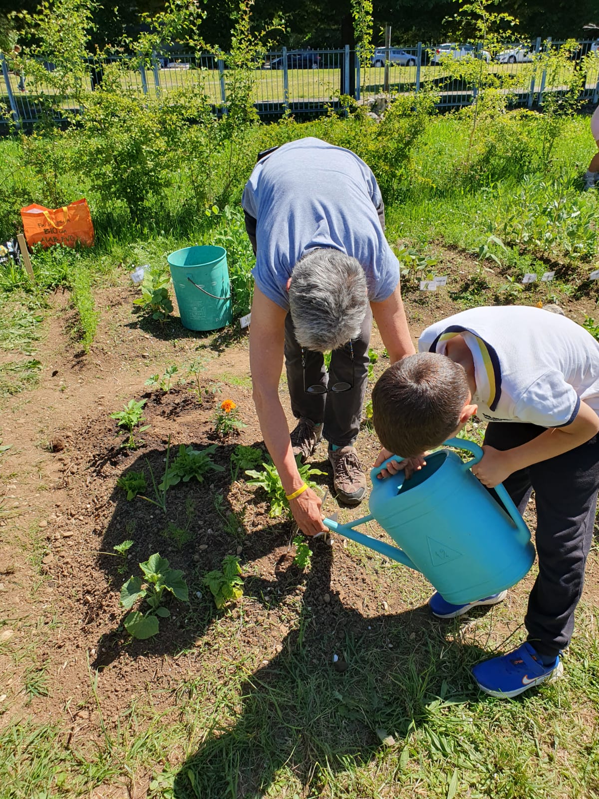 Bambini nell'orto - Progetto ASSE