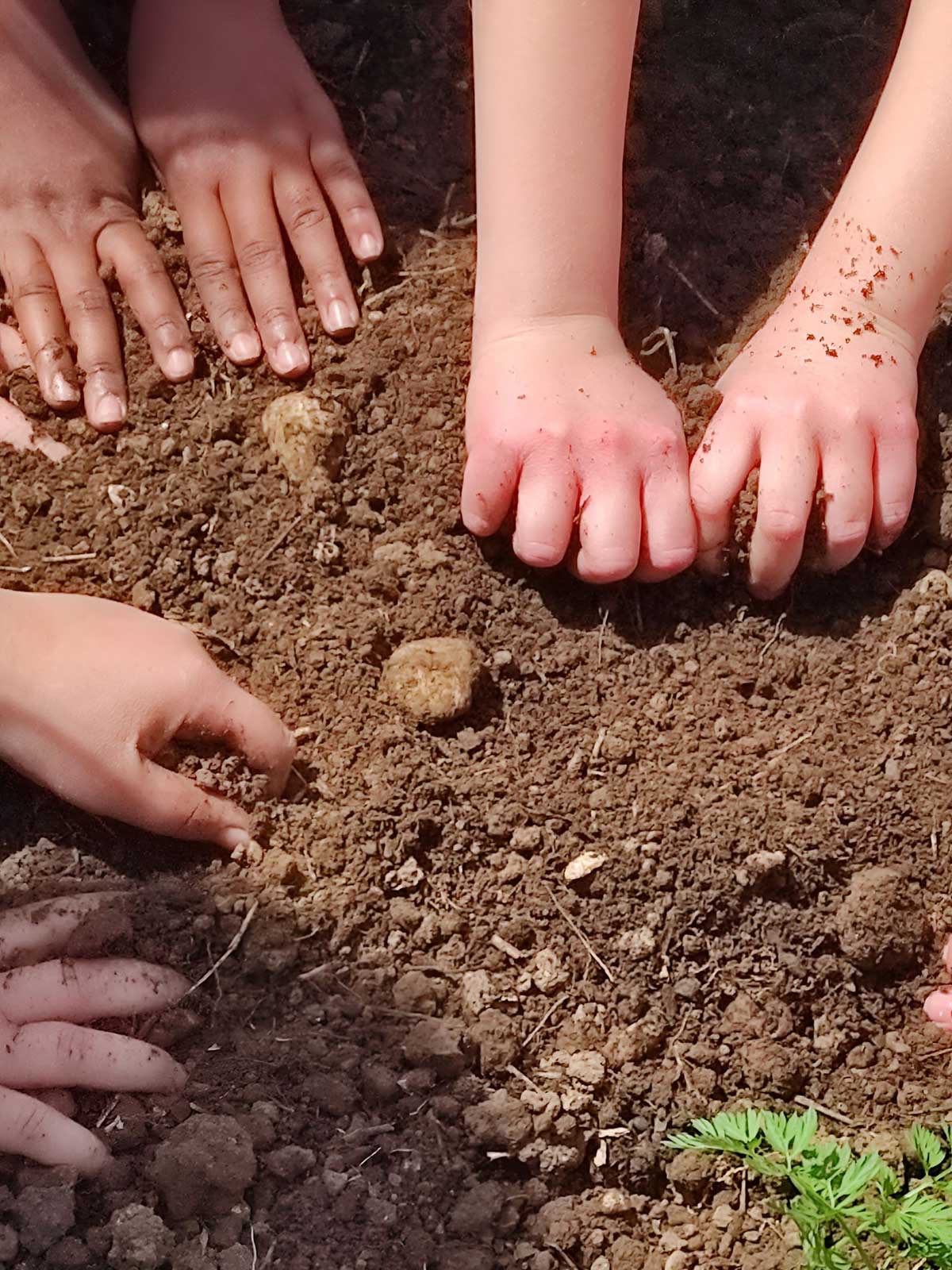 Esplorare la terra - Progetto ASSE