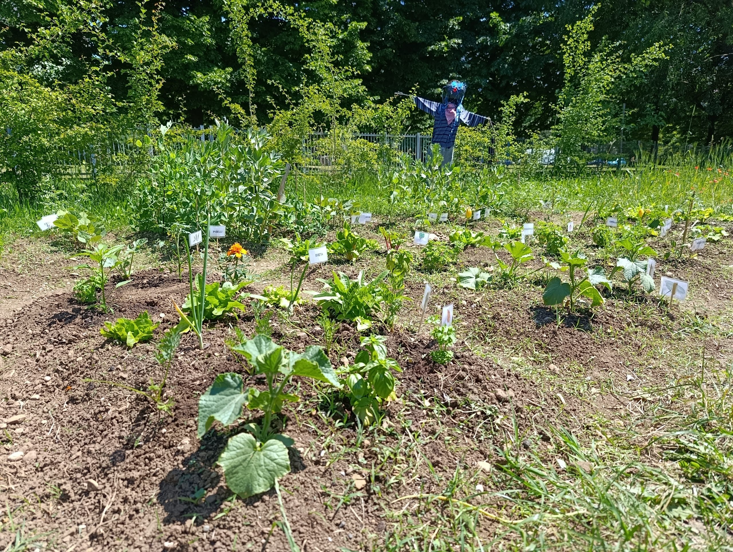10.09.2026_Dalla teoria di un’alimentazione sana alla pratica di una cultura ambientale, alimentare e biologica.